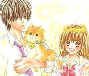 Couverture de Hatsukoi Dandelion