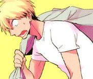 Couverture de Hochichirui Hitoka