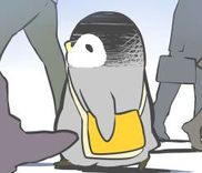 Couverture de If You Meet a Penguins