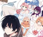 Couverture de Jubunnoichi no Hanayome