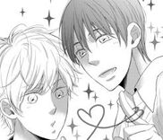 Couverture de Kimi no Kirakira