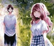 Couverture de Kimi to Wonderland