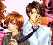 Couverture de Loveholic - Renai Chuudoku
