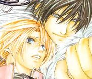 Couverture de Madness