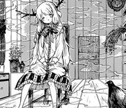 Couverture de Majo no Complex