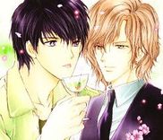 Couverture de Martini Kouryakuhou