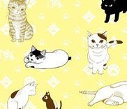 Couverture de Mero Neko