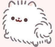 Couverture de Mochi Is A Pomeranian