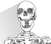 Couverture de My Daughter is a Skeleton
