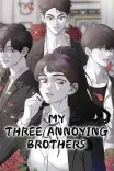 Couverture de My Three Annoying Brothers
