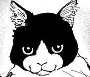 Couverture de Neko Neko