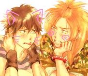 Couverture de Nekojita Spiky