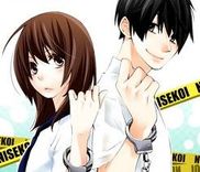 Couverture de Nisekoi Doumei