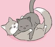 Couverture de Outdoor Cats