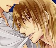 Couverture de Perfect Kareshi