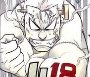 Couverture de RAIDEN-18