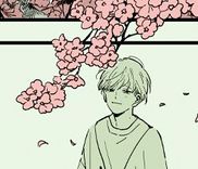 Couverture de Sakura