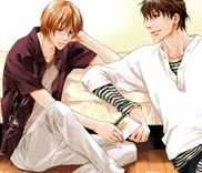 Couverture de Sore wa Isshun no Hikari, dewanaku