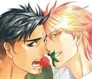Couverture de Strawberry Combat