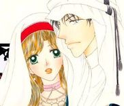 Couverture de The Sheikh's Redemption