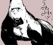 Couverture de This Gorilla Will Die in 1 Day