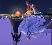 Couverture de Thousand Year Dream