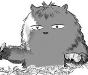 Couverture de Tsubasa o Motsu mono