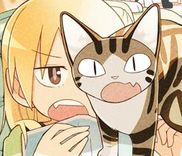 Couverture de Wareware wa Neko de Aru