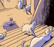 Couverture de Welcome to the Island of Cats