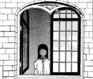 Couverture de Window