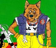 Couverture de Wolf