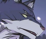 Couverture de Wolf's Castle