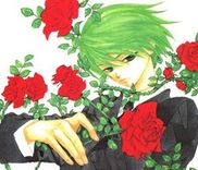 Couverture de Yasei no Bara