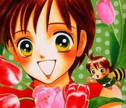 Couverture de Tsuki no Shippo